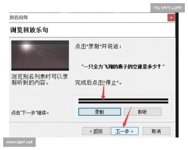 MorphVox Pro使用技巧详解 MorphVox Pro使用技巧详解
