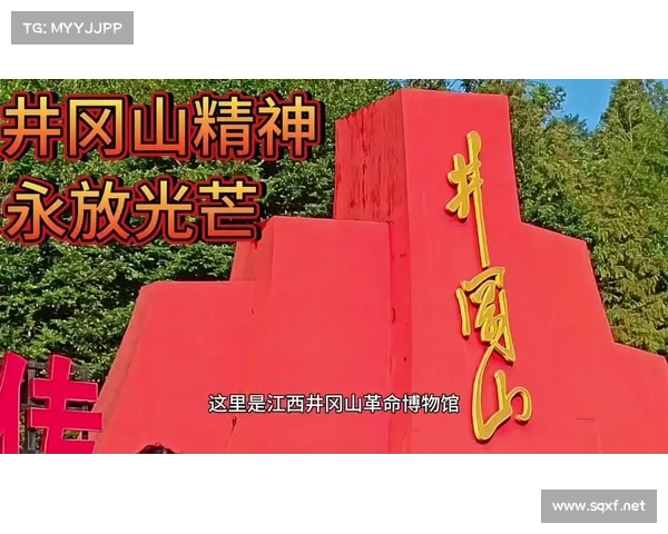 红色徽章探索之旅是否真正值得参与带来哪些独特体验与深度思考