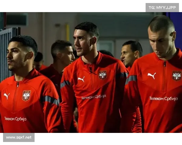 如何成功签约塞尔维亚超级联赛边锋打造成都蓉城新锋线策略