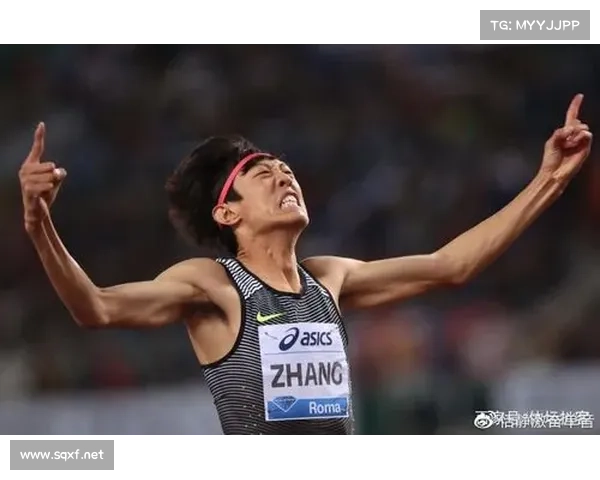 张国伟退役后五大优厚待遇揭晓 引领体育明星新生活方式