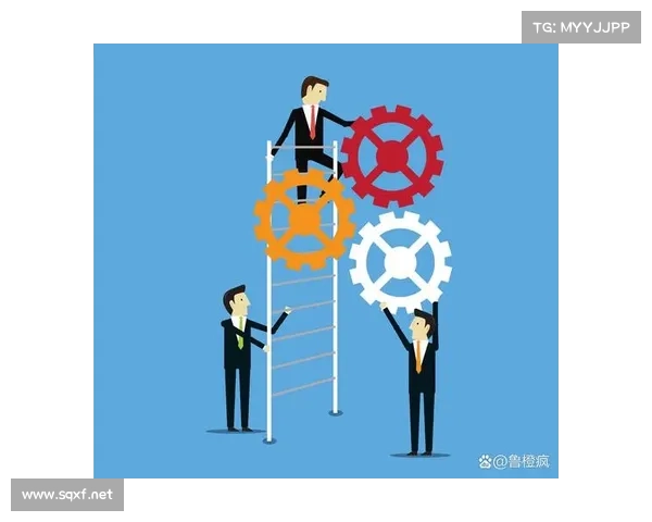 成为队伍核心的三大关键因素及其培养路径解析